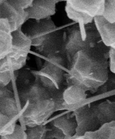 bet nano tubes 200nm