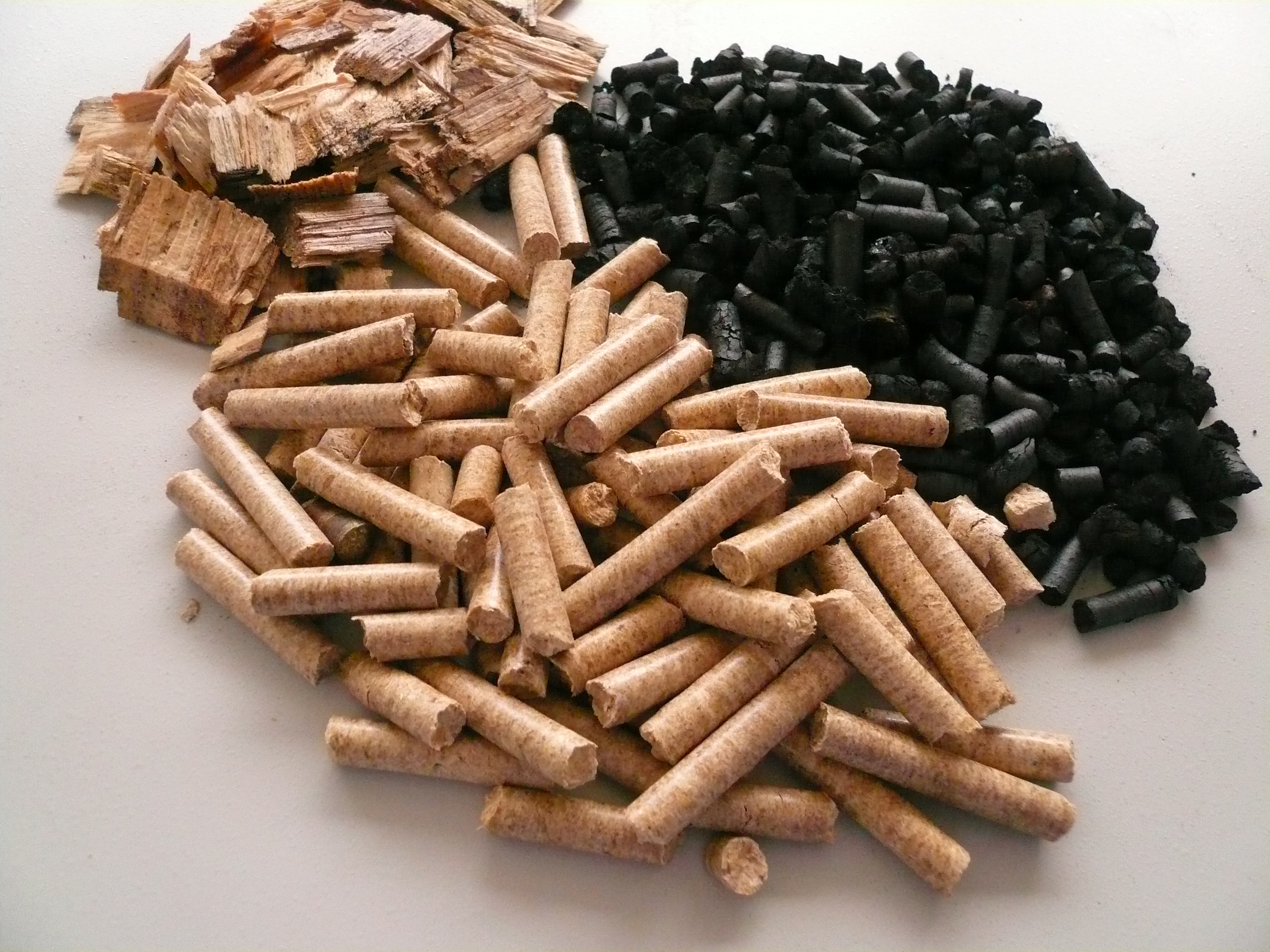 holz und Biochar